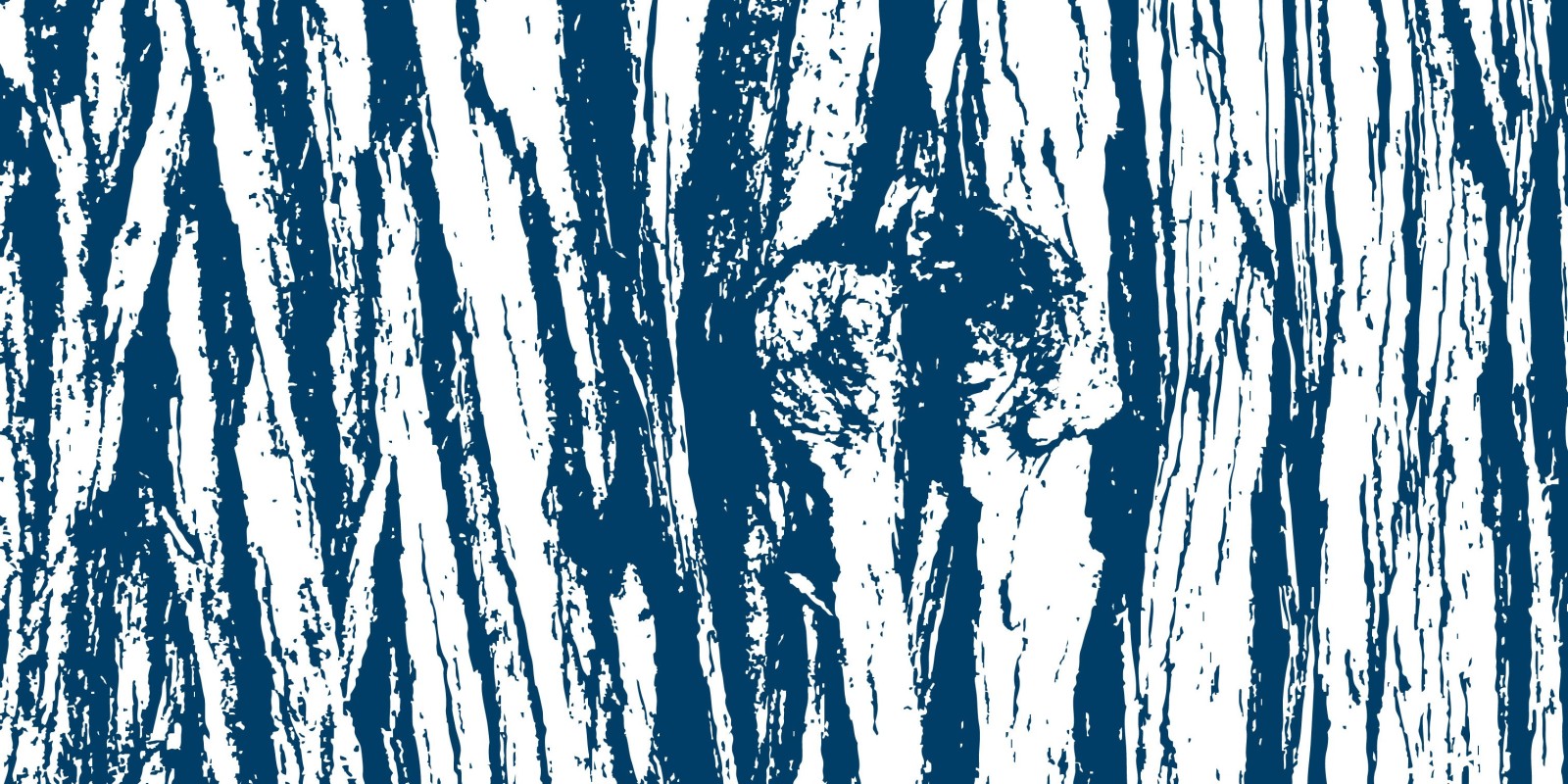 Von welchem Baum ist diese Rinde?